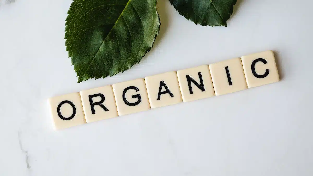 produits bio